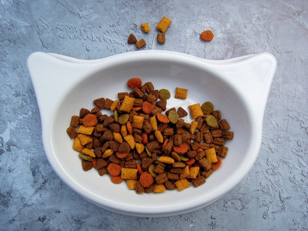 best dry cat food