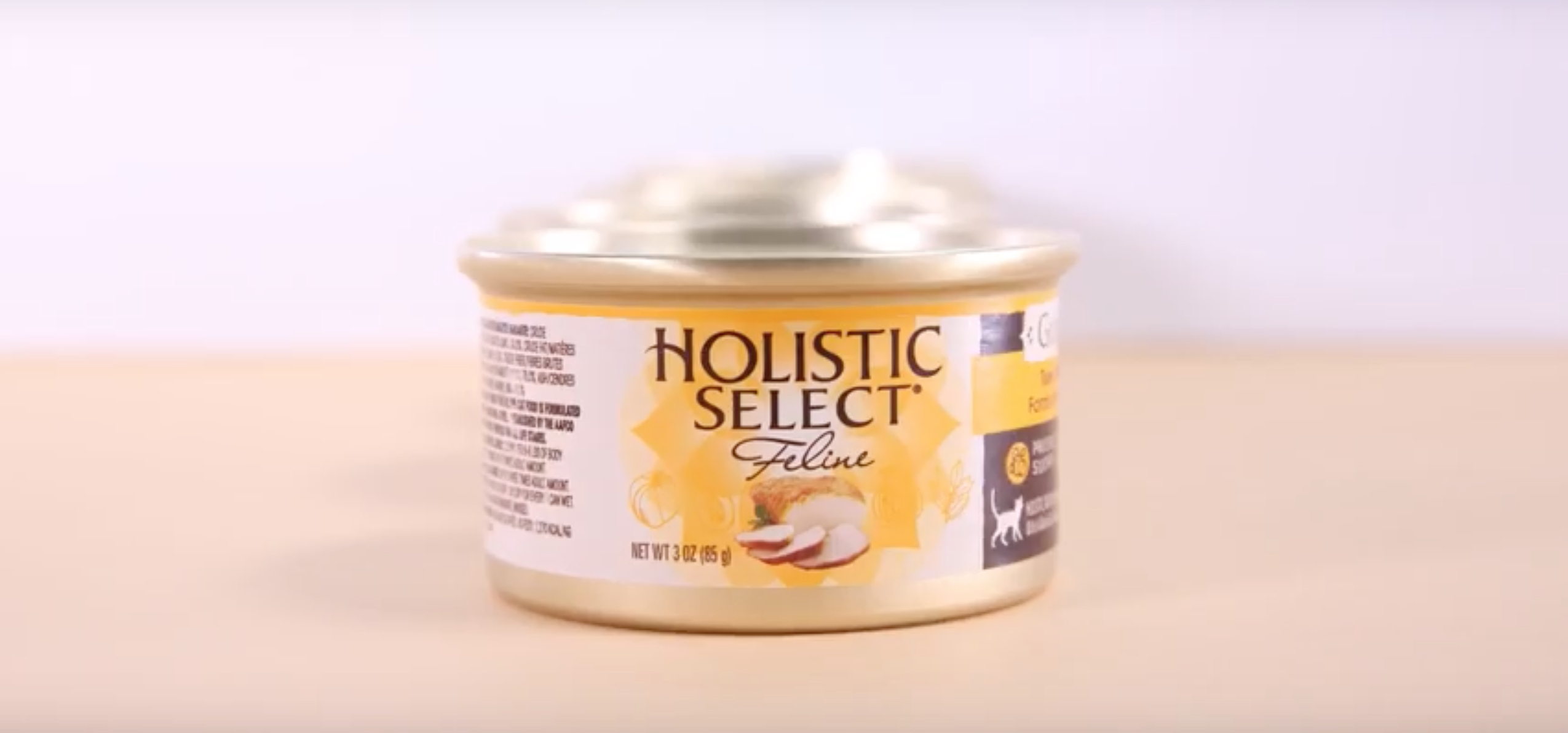 best holistic cat food